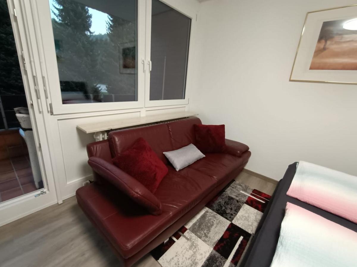 Sonnenkalb Apartment Todtmoos Luaran gambar