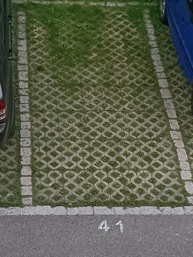 Sonnenkalb Apartment Todtmoos Luaran gambar